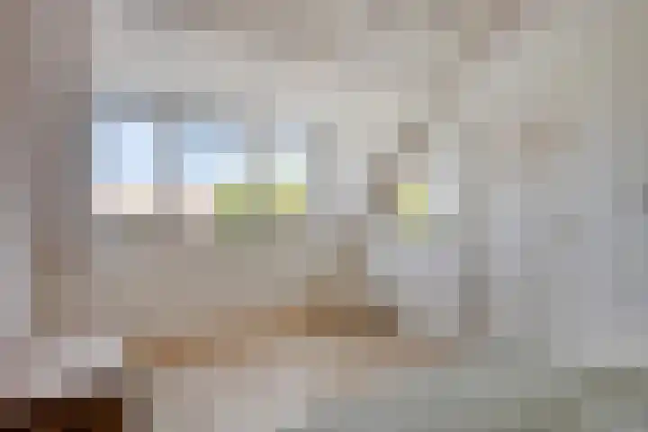 Stadsedijk 147 Oudemolen thumbnail 20