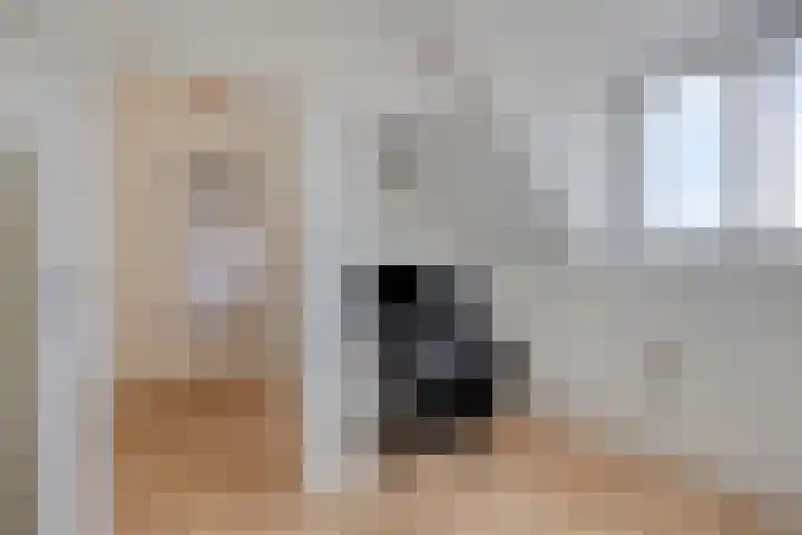 Stadsedijk 147 Oudemolen thumbnail 24
