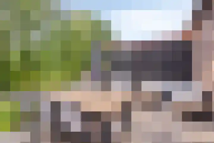 Stadsedijk 147 Oudemolen thumbnail 27