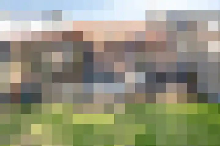 Stadsedijk 147 Oudemolen thumbnail 28