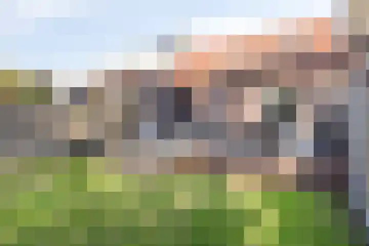 Stadsedijk 147 Oudemolen thumbnail 29
