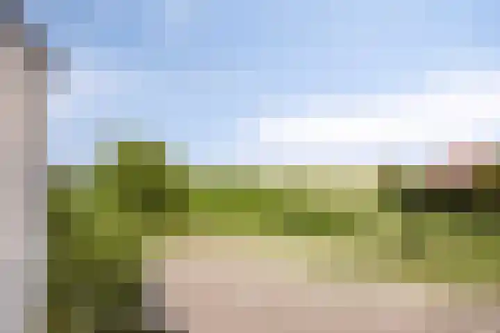 Stadsedijk 147 Oudemolen thumbnail 34
