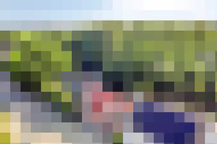 Stadsedijk 147 Oudemolen thumbnail 39