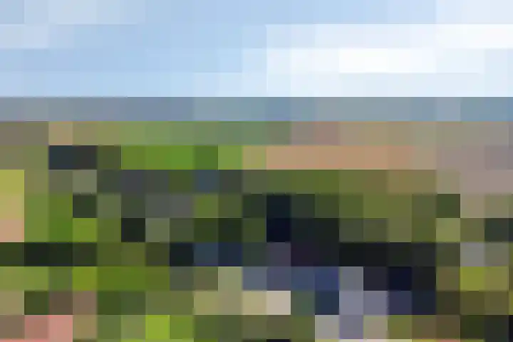 Stadsedijk 147 Oudemolen thumbnail 40