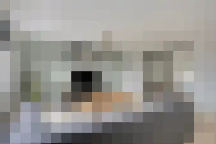 Stadsedijk 147 Oudemolen thumbnail 7