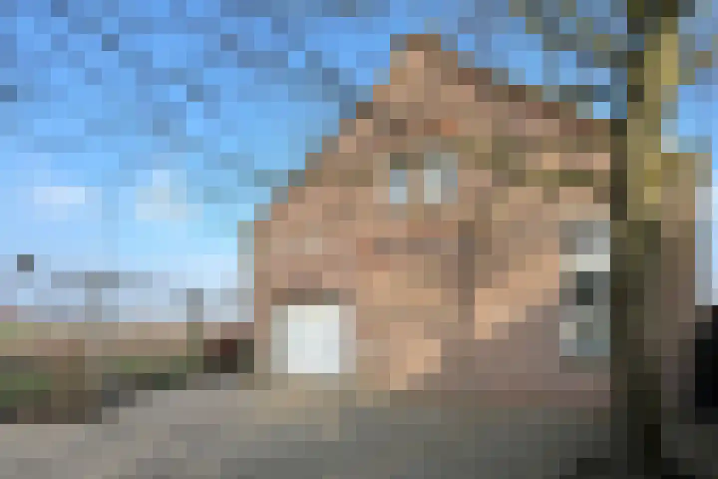 Stadsedijk 56 Oudemolen thumbnail 100