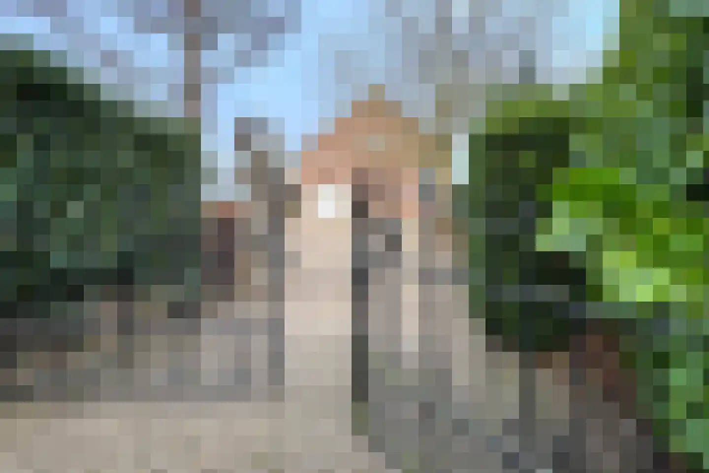 Stadsedijk 56 Oudemolen thumbnail 101