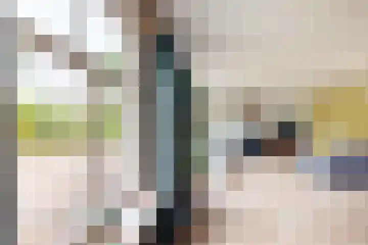 Stadsedijk 6 Oudemolen thumbnail 15