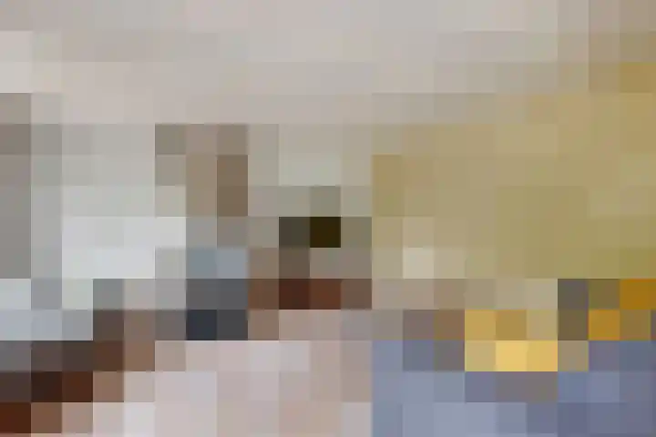 Stadsedijk 6 Oudemolen thumbnail 21