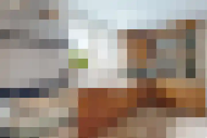 Stadsedijk 6 Oudemolen thumbnail 25