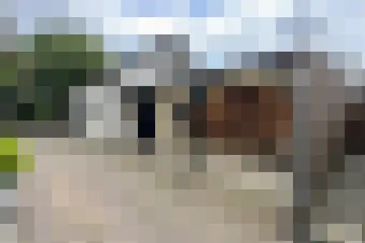 Stadsedijk 6 Oudemolen thumbnail 55