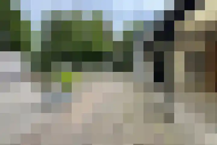 Stadsedijk 6 Oudemolen thumbnail 68