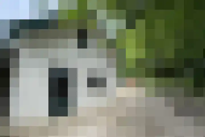 Stadsedijk 6 Oudemolen thumbnail 72