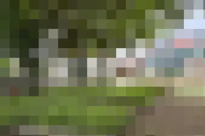 Stadsedijk 6 Oudemolen thumbnail 73