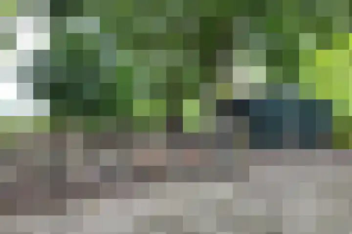 Stadsedijk 6 Oudemolen thumbnail 75