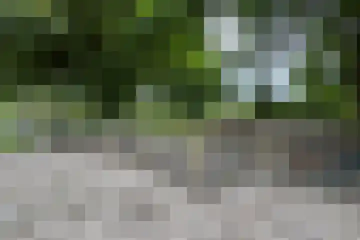Stadsedijk 6 Oudemolen thumbnail 76