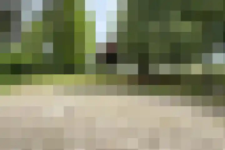 Stadsedijk 6 Oudemolen thumbnail 78