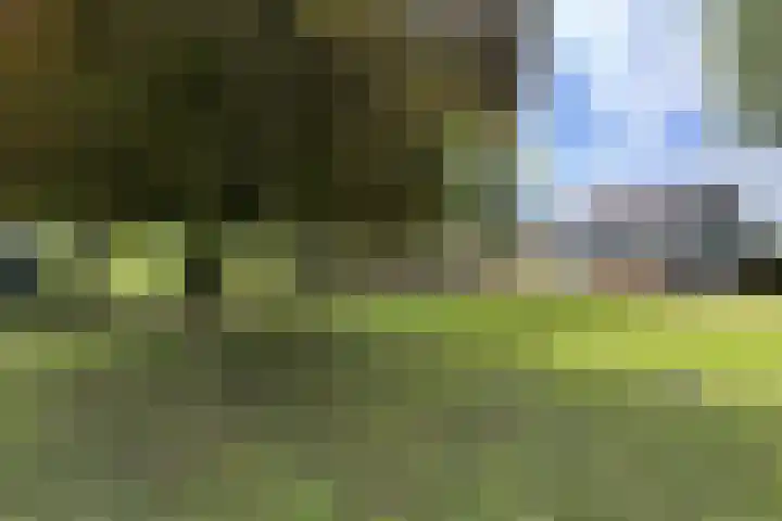 Stadsedijk 6 Oudemolen thumbnail 79