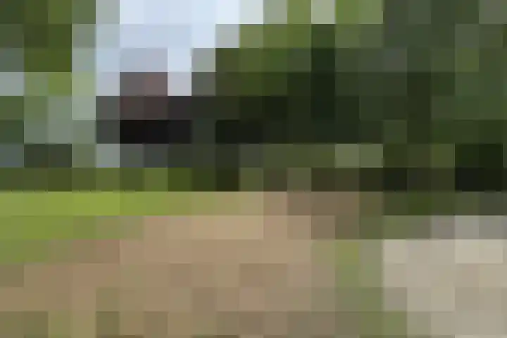 Stadsedijk 6 Oudemolen thumbnail 80