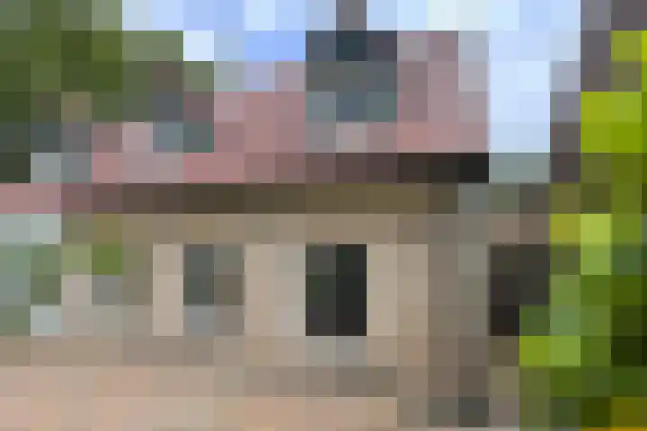 Stadsedijk 6 Oudemolen thumbnail 81