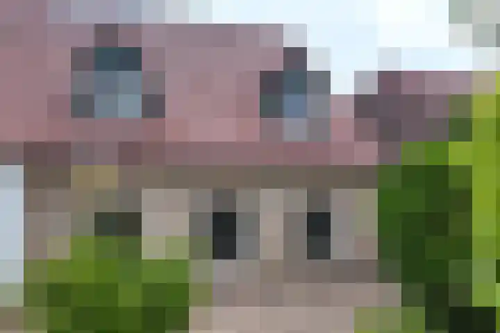 Stadsedijk 6 Oudemolen thumbnail 82
