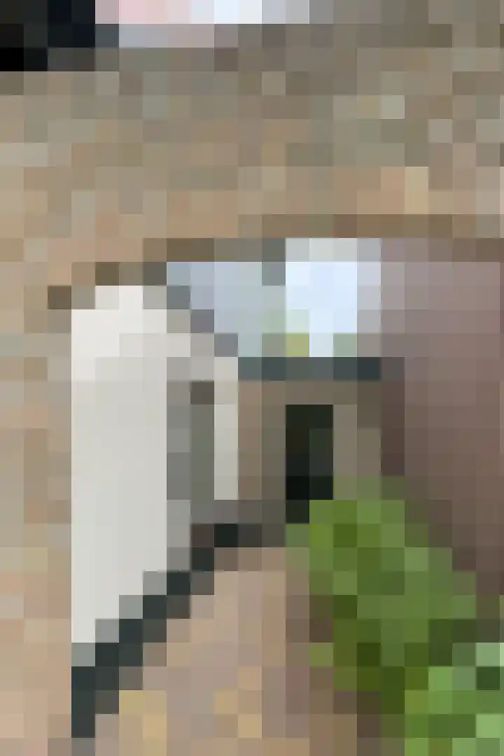 Stadsedijk 6 Oudemolen thumbnail 83