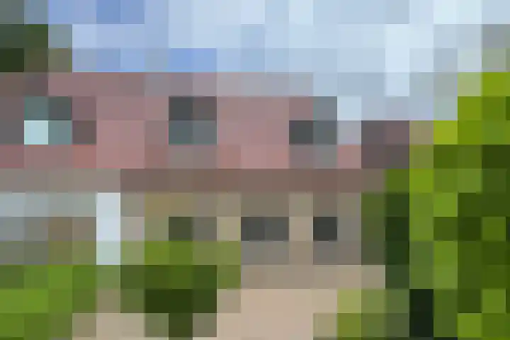 Stadsedijk 6 Oudemolen thumbnail 84
