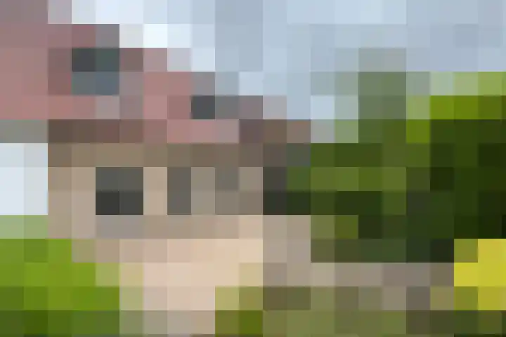 Stadsedijk 6 Oudemolen thumbnail 86