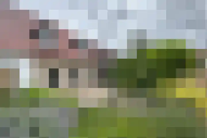 Stadsedijk 6 Oudemolen thumbnail 87
