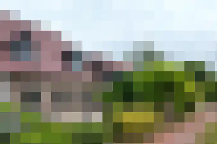 Stadsedijk 6 Oudemolen thumbnail 88