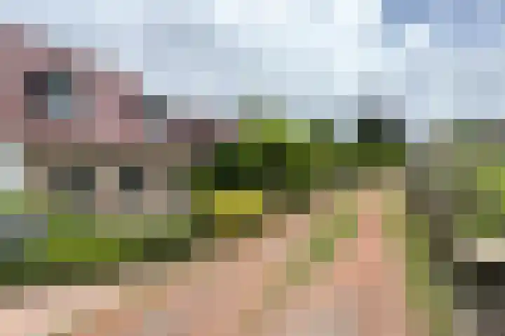 Stadsedijk 6 Oudemolen thumbnail 89