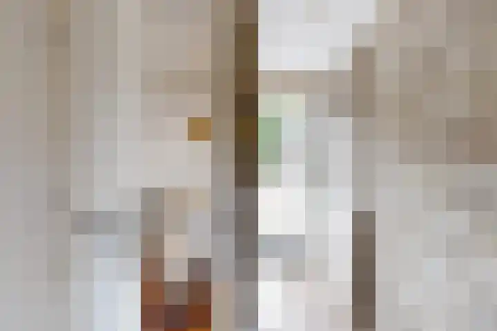 Stadsedijk 6 Oudemolen thumbnail 9