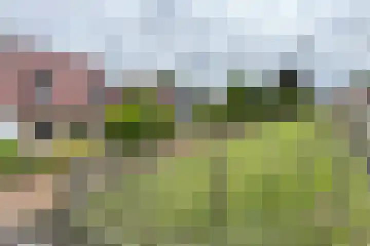 Stadsedijk 6 Oudemolen thumbnail 90