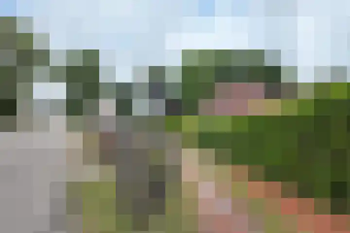 Stadsedijk 6 Oudemolen thumbnail 93