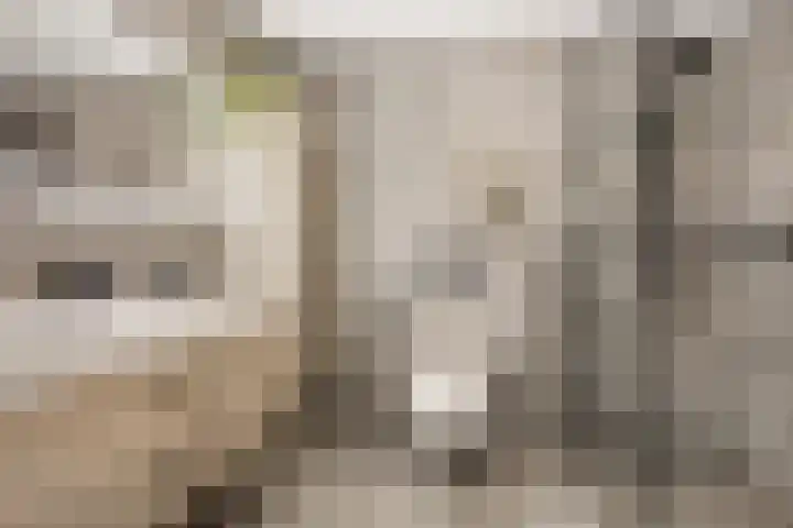 Stadseiland 6 Lelystad thumbnail 33