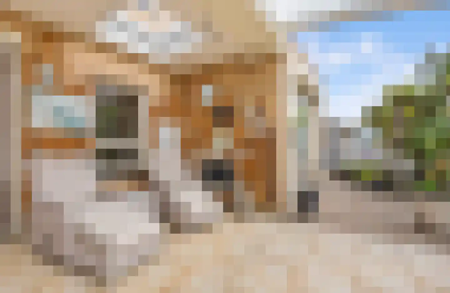 Stadseiland 60 Lelystad thumbnail 35