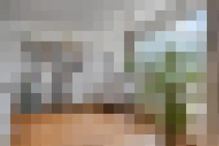 Stadselaan 24 Valkenswaard thumbnail 10