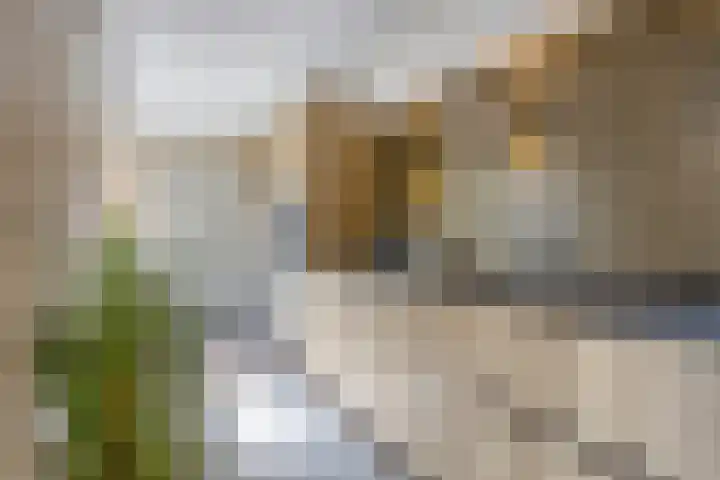 Stadselaan 24 Valkenswaard thumbnail 11