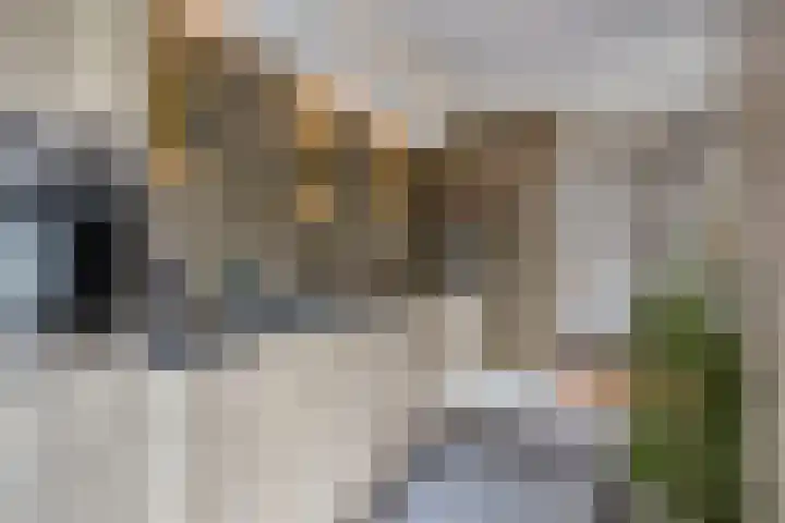 Stadselaan 24 Valkenswaard thumbnail 13