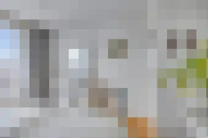 Stadselaan 24 Valkenswaard thumbnail 20