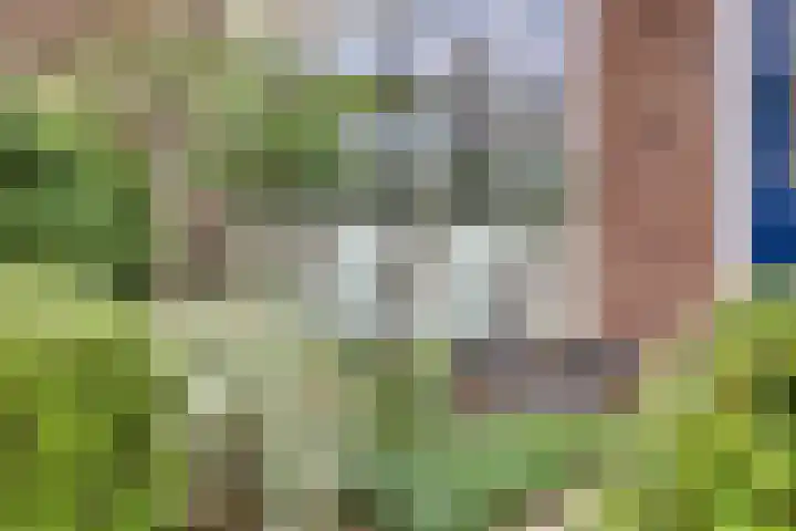 Stadselaan 24 Valkenswaard thumbnail 30