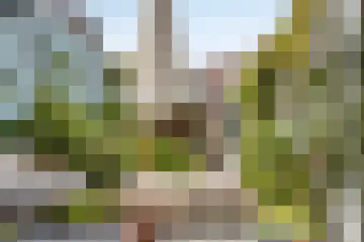 Stadselaan 24 Valkenswaard thumbnail 31