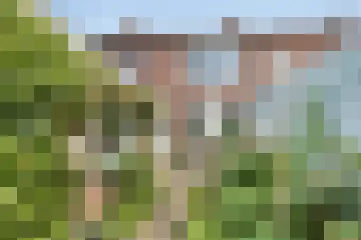 Stadselaan 24 Valkenswaard thumbnail 33