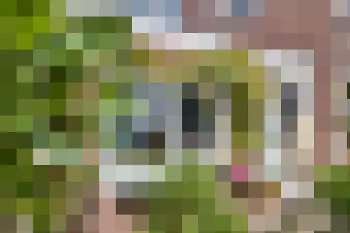 Stadselaan 24 Valkenswaard thumbnail 34