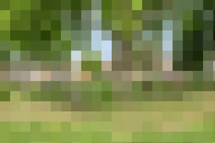 Stadselaan 24 Valkenswaard thumbnail 38