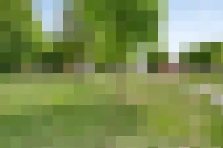 Stadselaan 24 Valkenswaard thumbnail 39