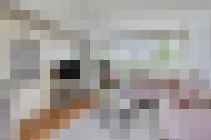 Stadselaan 24 Valkenswaard thumbnail 7