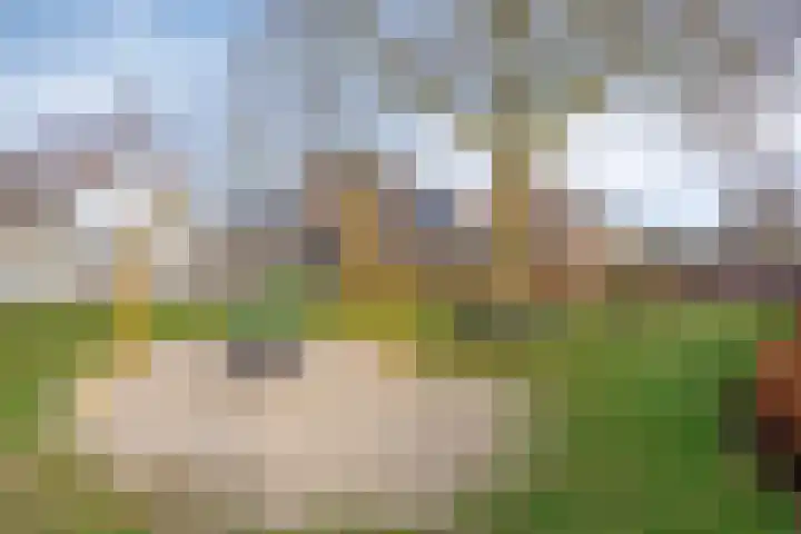 Stadselaan 35 Valkenswaard thumbnail 35