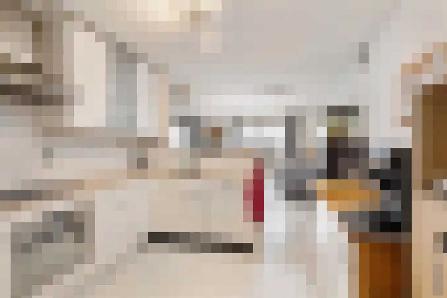 Stadserf 58 Schiedam thumbnail 10