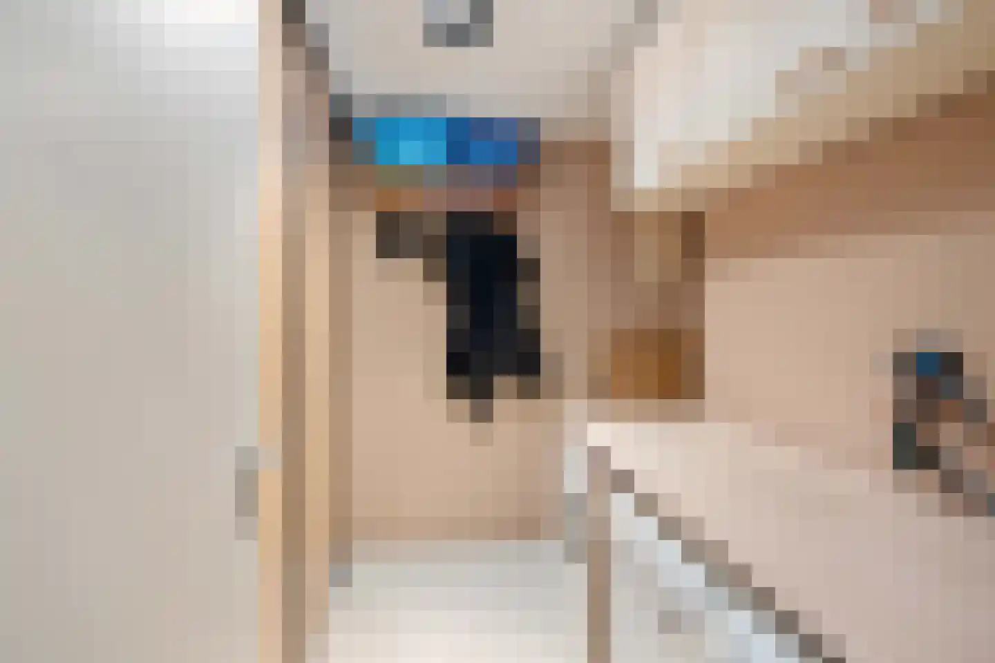 Stadserf 58 Schiedam thumbnail 12